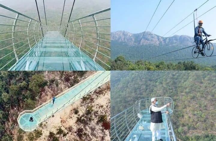 rajgir glass bridge ticket